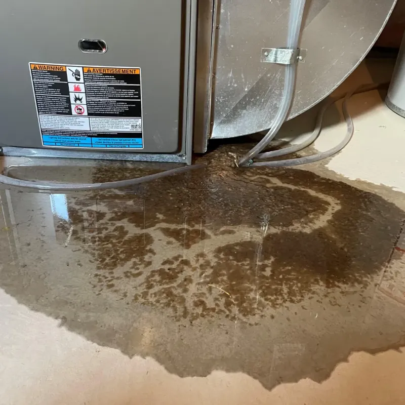 Appliance Leak Cleanup in Red Cloud, NE
